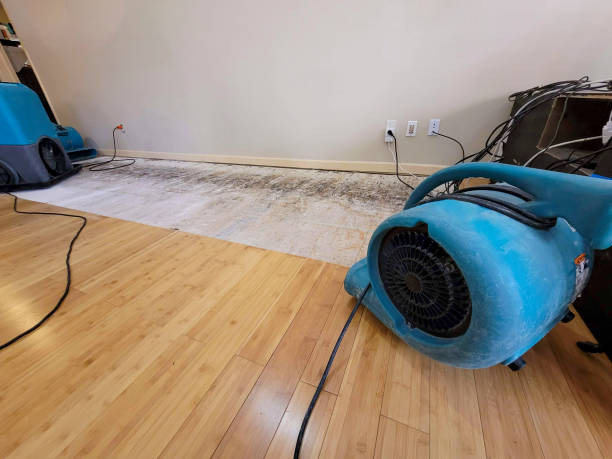 Professional Burst Pipe Water Damage technician working in Akron, PA